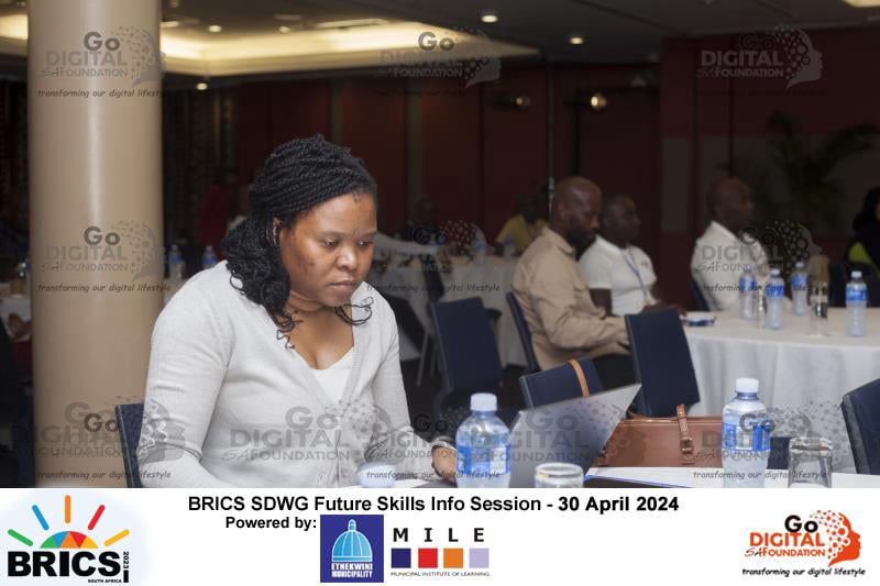 BRICS SDWG Info Session