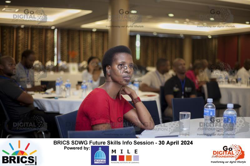 BRICS SDWG Info Session