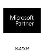 Microsoft Partner Logo